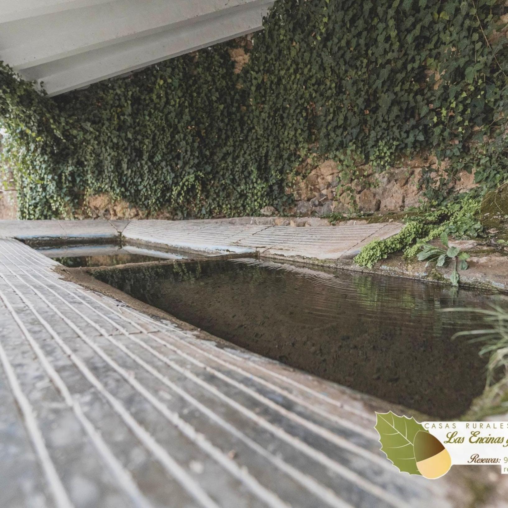 Las Encinas 예스테 외부 사진